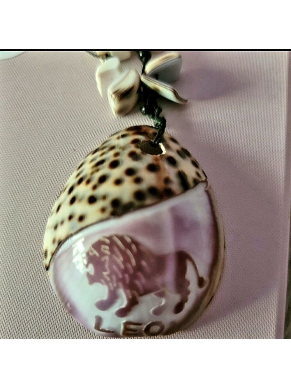 Lion Shell Necklace Large Shell #N57 - Picture 2 of 4